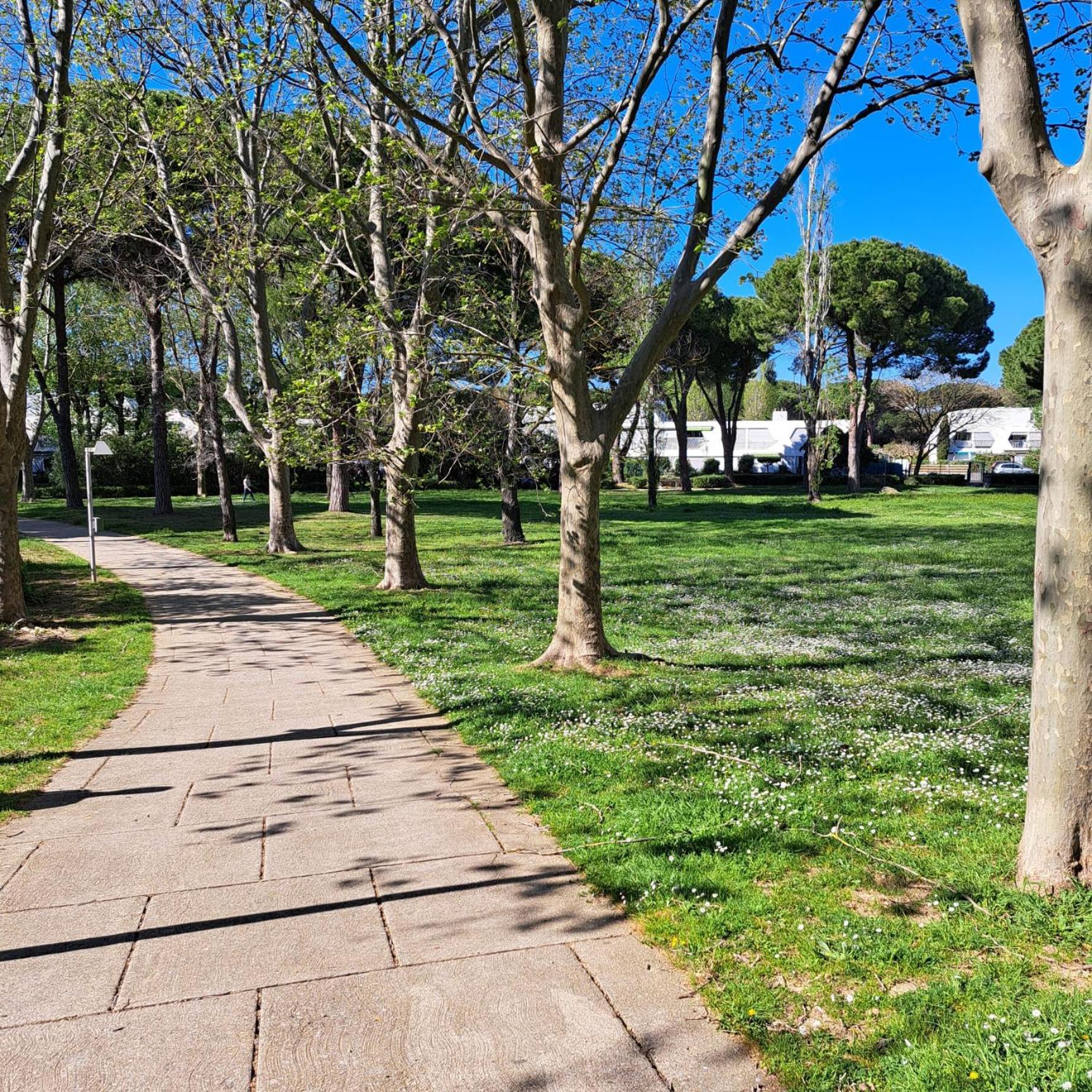 T2 West City Parking Clim Wifi 4Pers - Rossiconciergerie - Linge Inclus La Grande-Motte Kültér fotó